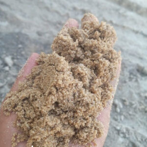 Pasir Tayan Kalimantan
